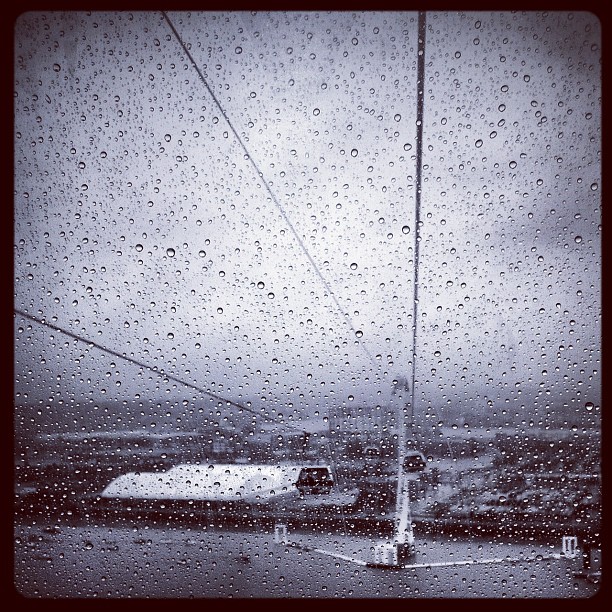 High up on a cable. #rain #raindrops #bw