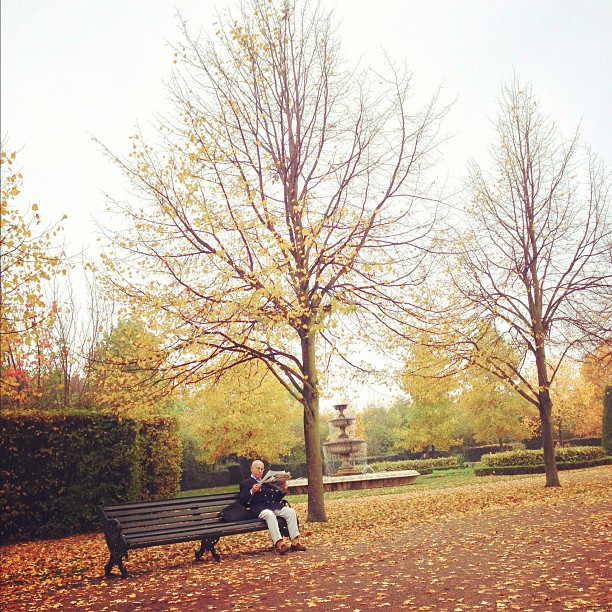 #autumn #park #street #people #solitude #london