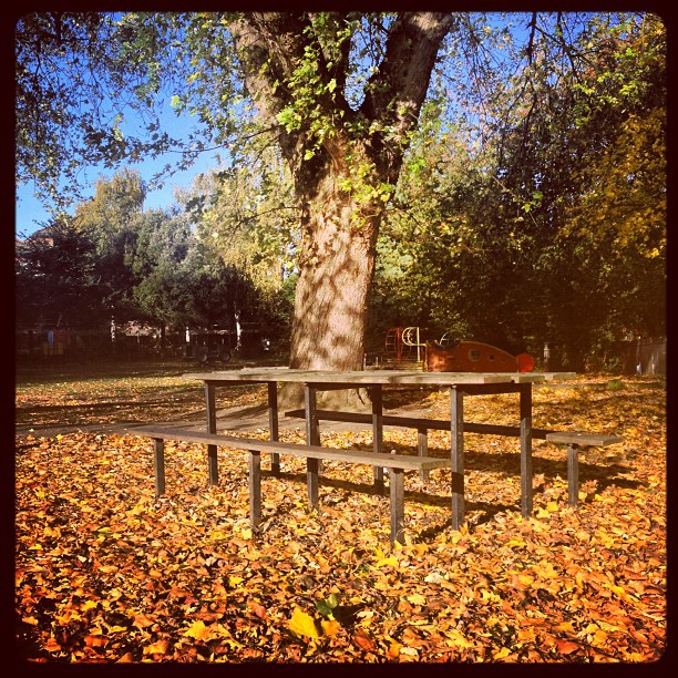 #autumn in the #city. #london #park #saturday #morning