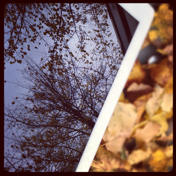 #autumn #reflections