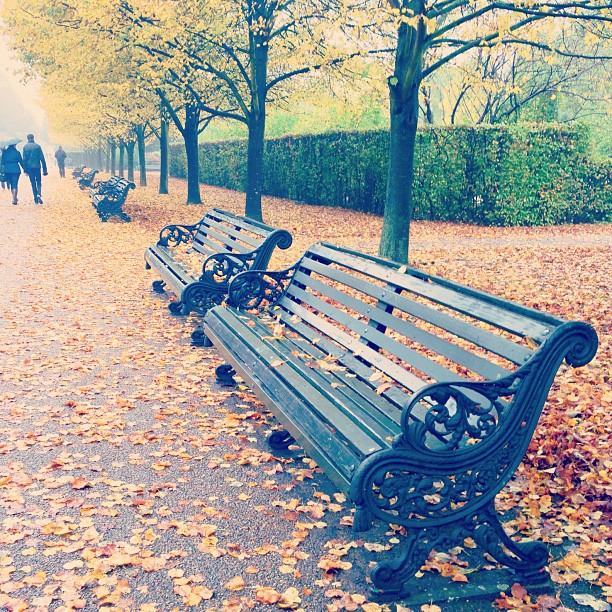 #london #park #autumn #lunch #walk
