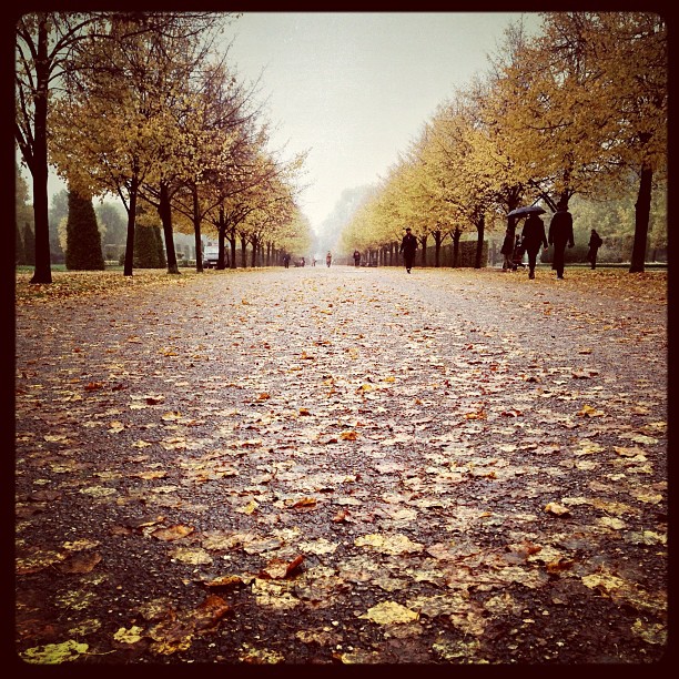 .. is made of #gold. #london #autumn #park #street