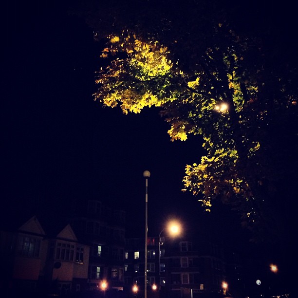 #autumn #night