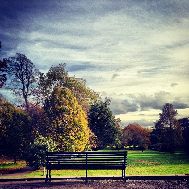#autumn #sky #park #nature  #london #sad #empty #lonely