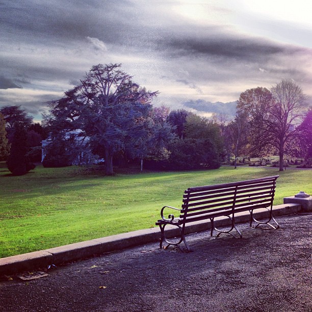 #cold #autumn #sky #london #park #nature #silence #webstagram #beautiful #mood #instamood #iphoneonly