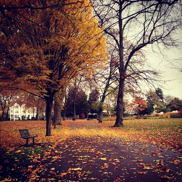 #beautiful #autumn #london #park #iphoneonly #instagood #instagramhub