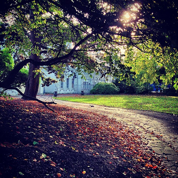 Усадьба. #mansion #house #park #london #autumn