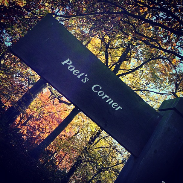 #poet 's corner #london #park #nature #richmondpark #webstagram #instagramhub #instagood #instamood #iphoneonly #sunday #beautiful #autumn