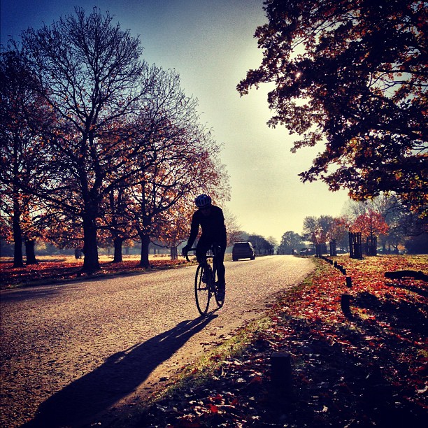 #peaceful #autumn #london #park #richmondpark #nature #morning #sunday #instagood #instamood #webstagram #instagramhub #iphoneonly #cyclist #road