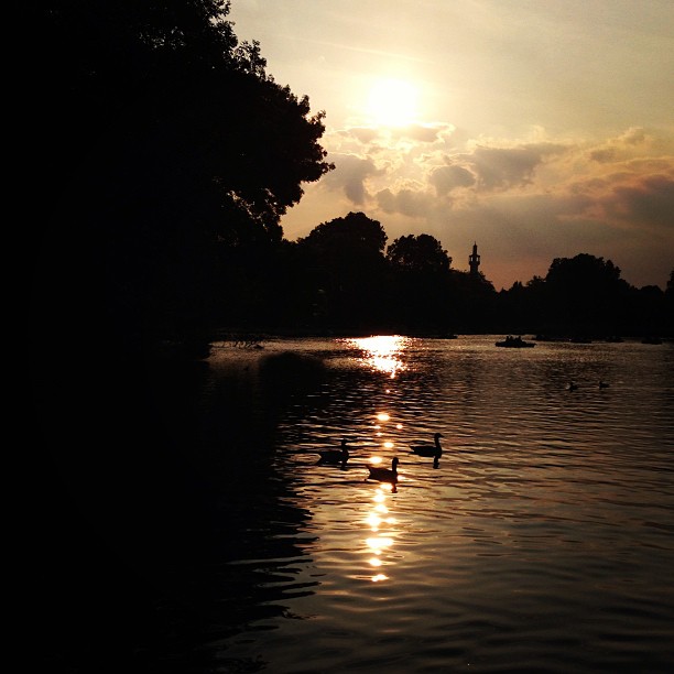 The #sun is setting down over #regentspark #pond#sunset #london #park #londonpop #london_only #ig_uk #ig_london #igerslondon #igers_london