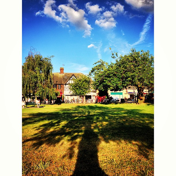 Catching up with Great #British #Summer#london #londonpop #london_only #ig_uk #ig_london #igerslondon #igers_london #nature #park #tree #shadow #sky #iphoneonly