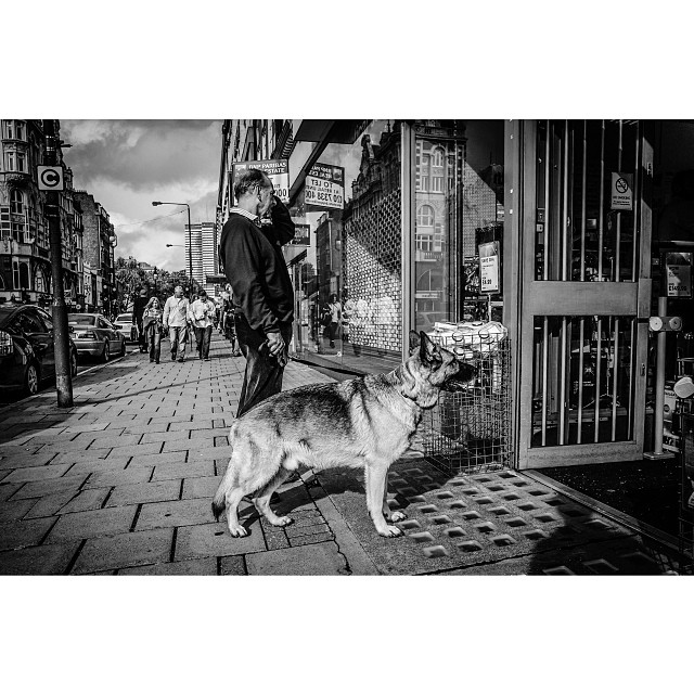 #london#londonpop #london_only #ig_uk #ig_london #bnw_city #bnw_london #bw #bnw #blackandwhite #igerslondon #igers_london #street #streetphoto #streetphotography #streetphotography_bw #dog