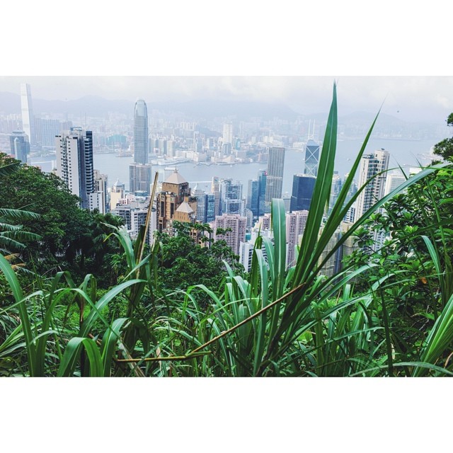 The famous #hk #skyline as seen from #victoriapeak#hongkong #asia #urban #urbanromantix #vsco #vscogood