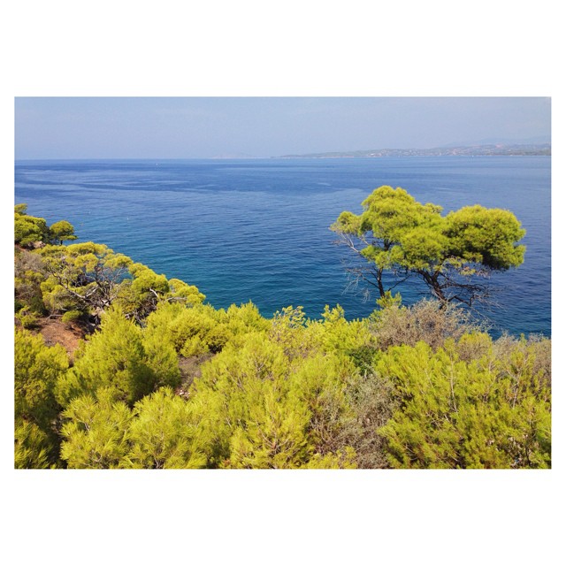 #spetses #greece #vsco #landscape